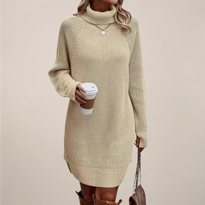Cozy Turtleneck Knit Sweater Dress