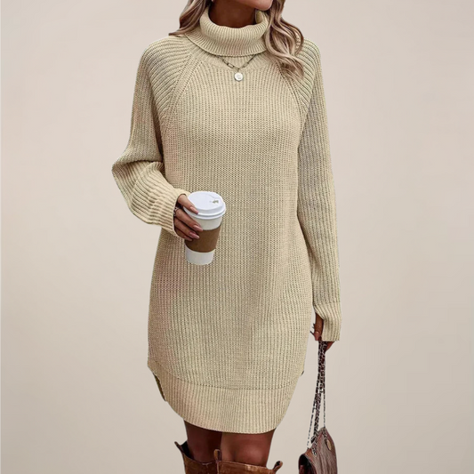 Cozy Turtleneck Knit Sweater Dress