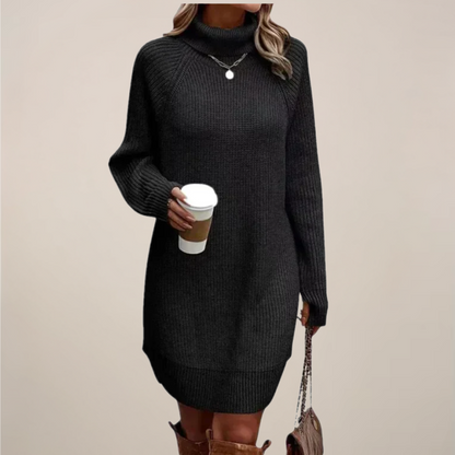 Cozy Turtleneck Knit Sweater Dress