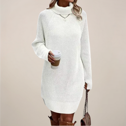 Cozy Turtleneck Knit Sweater Dress