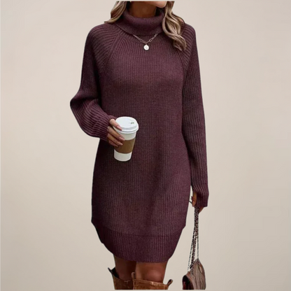 Cozy Turtleneck Knit Sweater Dress