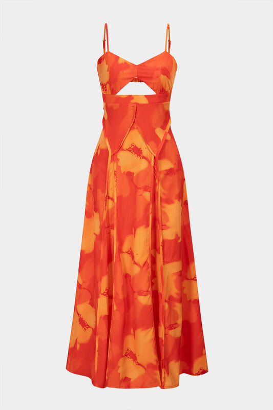 Floral Print Backless Maxi Dress