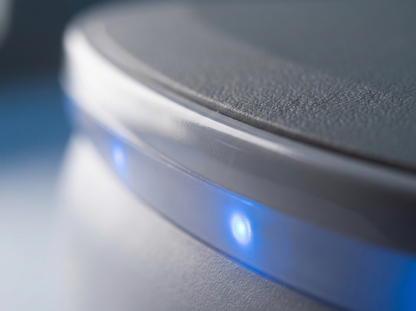 The Original Active Plate