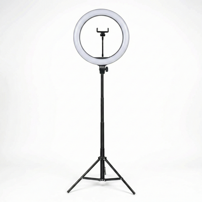 The Original LumiStudio