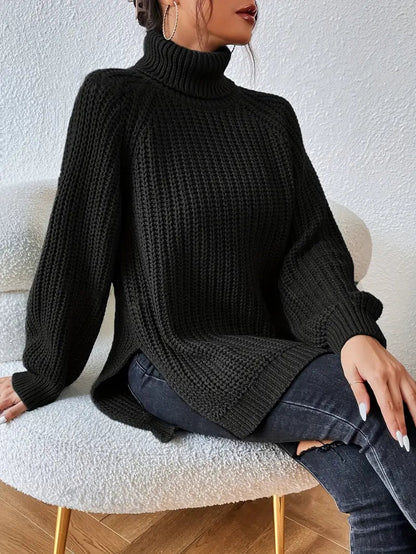 Ribbed Knit Turtleneck Sweater